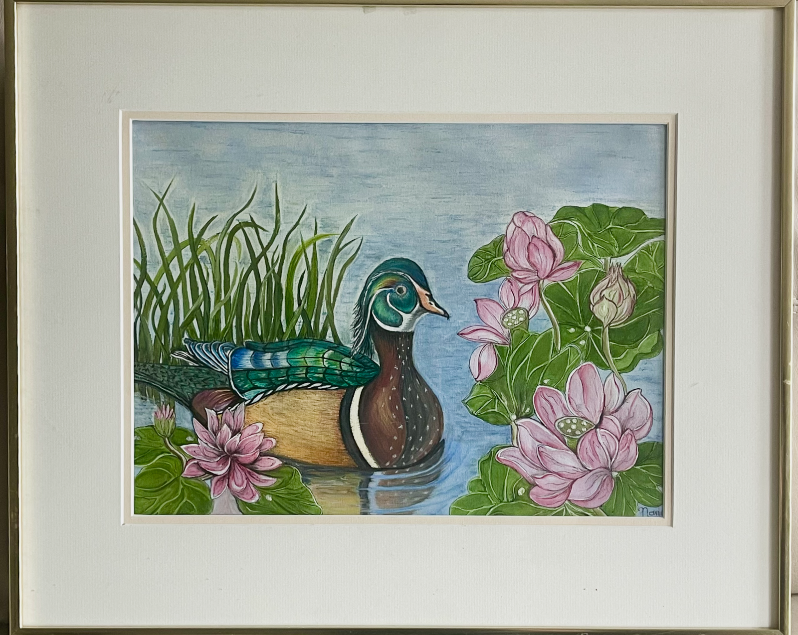 Wood Duck Among the Lillies